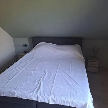 Holiday home Op 't Broeckhuys Ewijk